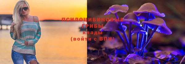 эйфоретик Белая Холуница