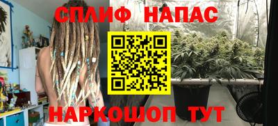 ГАЛЛЮЦИНОГЕННЫЕ ГРИБЫ Малгобек
