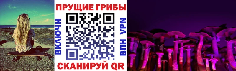 сайты даркнета какой сайт  Гагарин  Псилоцибиновые грибы Psilocybe 