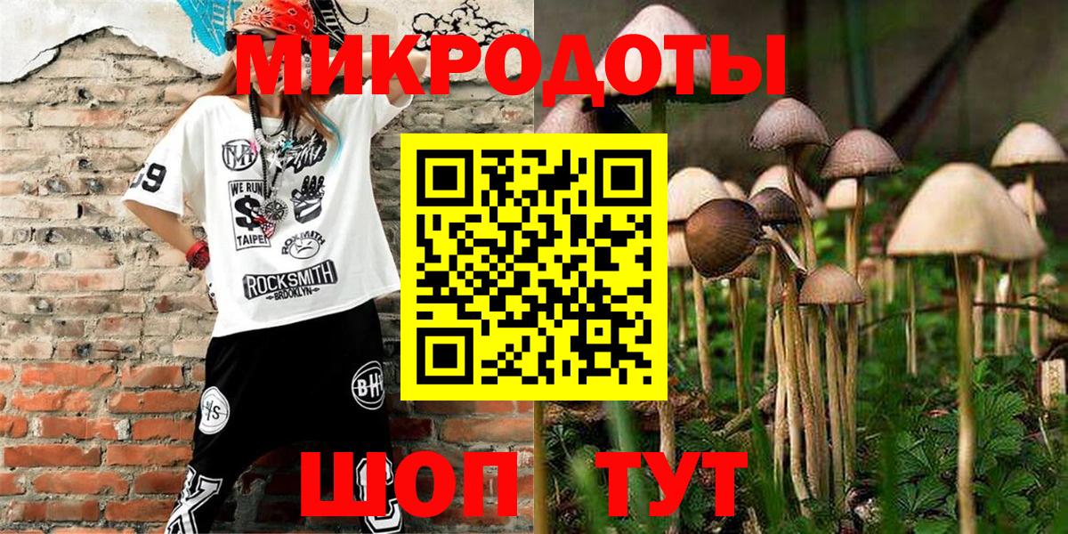 Галлюциногенные грибы Psilocybe Гагарин