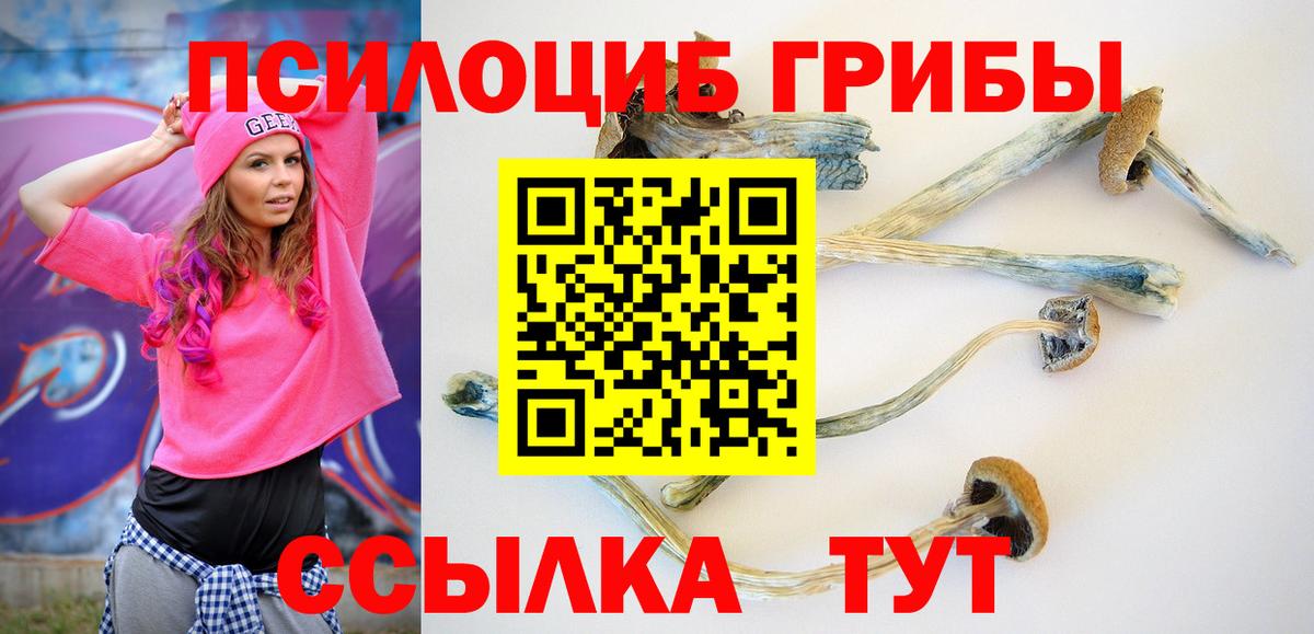 Галлюциногенные грибы GOLDEN TEACHER  купить  цена  Гагарин  Вход с VPN 