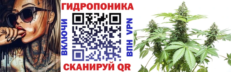 купить наркоту  Гагарин  Конопля Ganja 