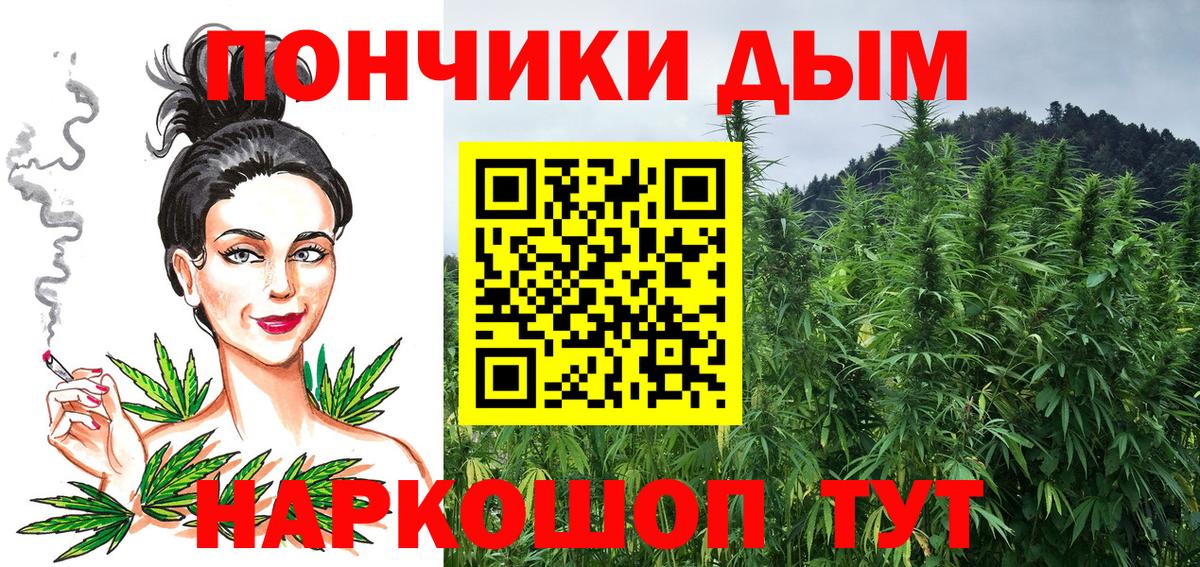 Шишки марихуана семена Гагарин